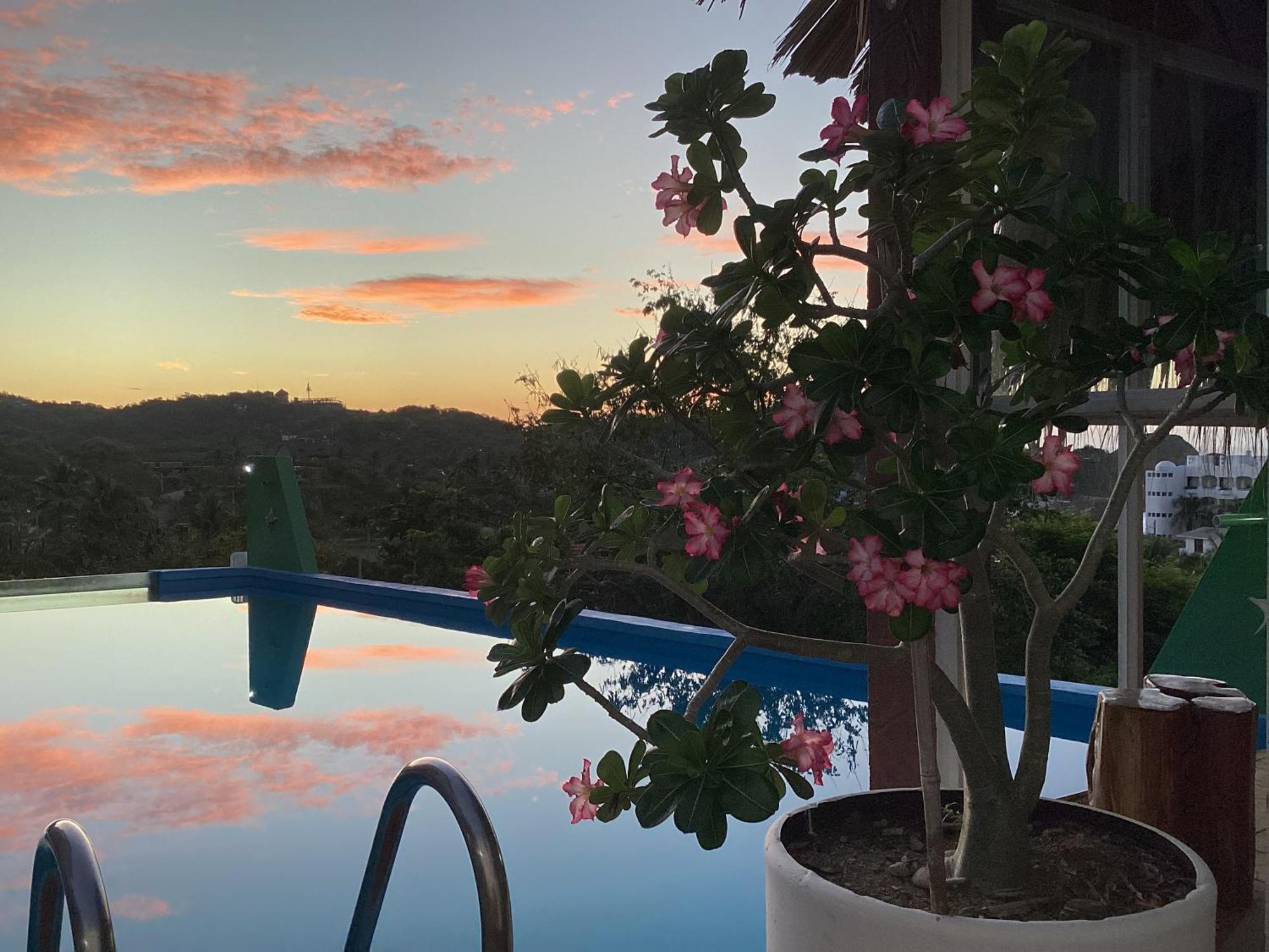 Namaste Zipolite Suites Exteriör bild