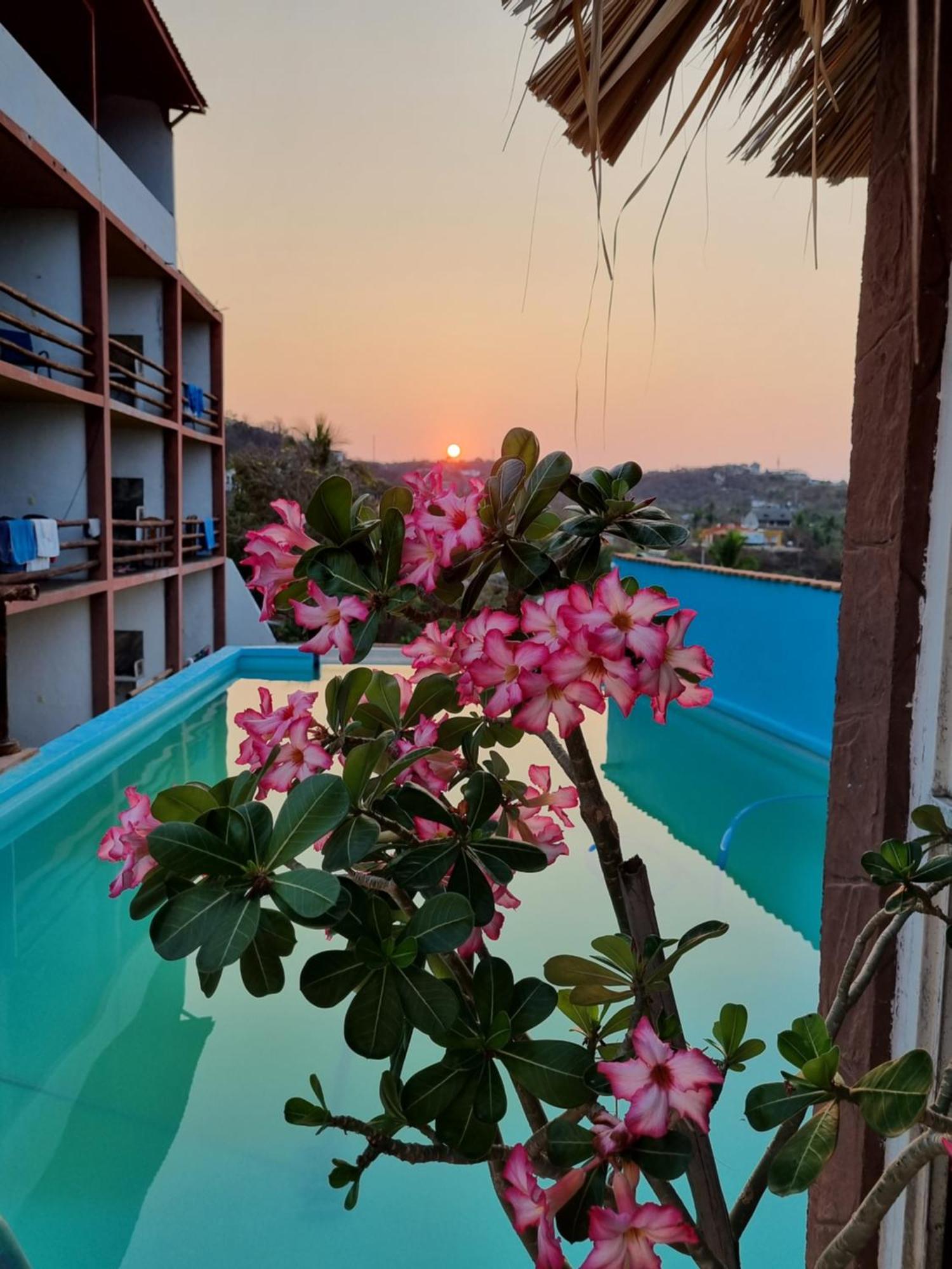 Namaste Zipolite Suites Exteriör bild